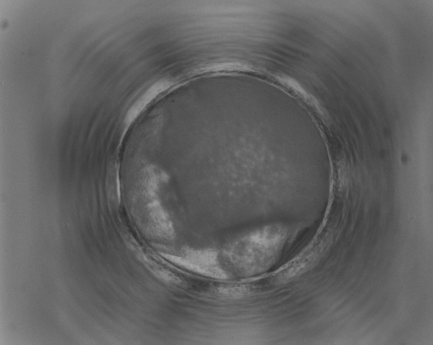 X0000077391274200611031952