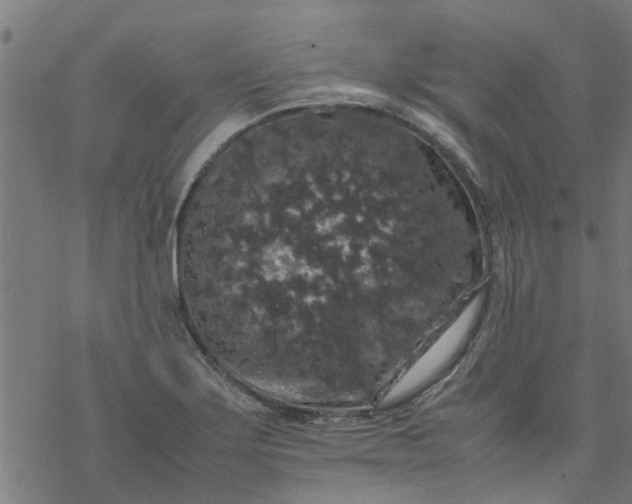 X0000077391275200611031952