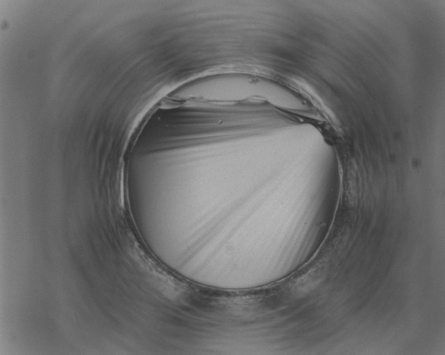 X0000077391276200611031952