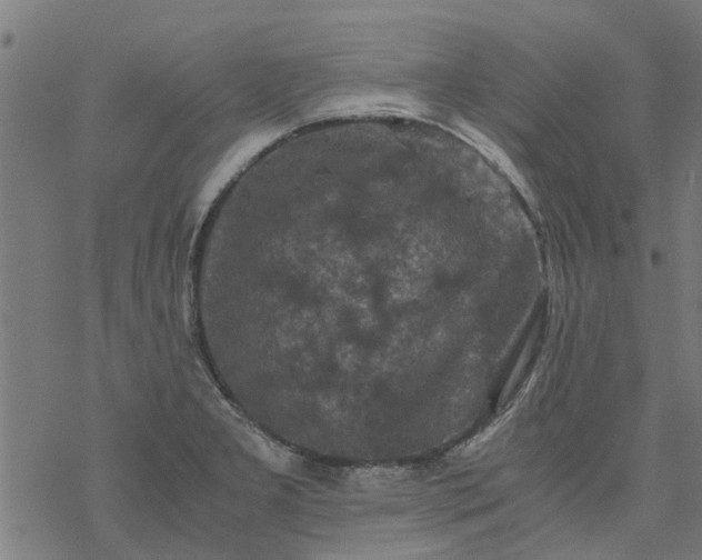 X0000077391277200611031952