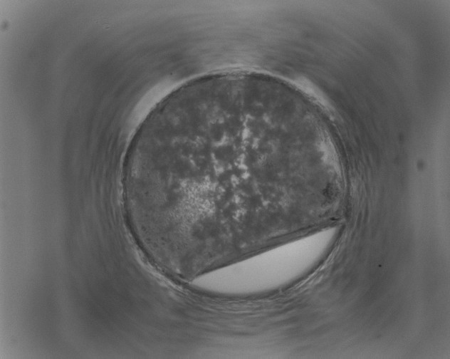 X0000077391279200611031952