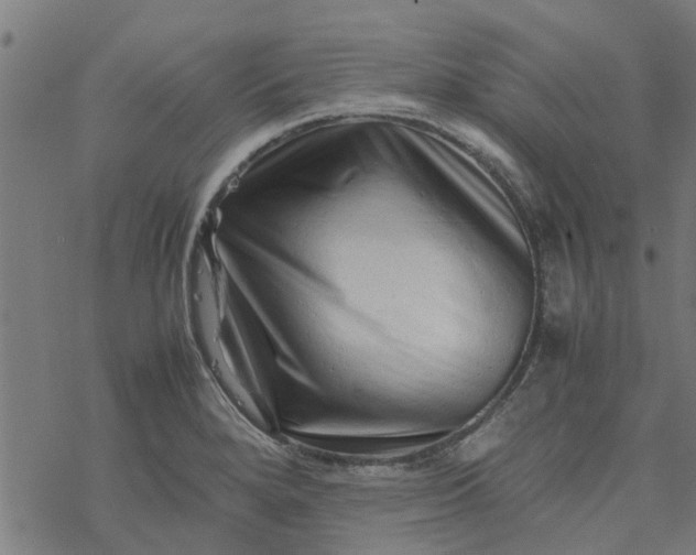 X0000077391280200611031952