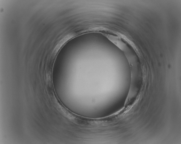 X0000077391281200611031952