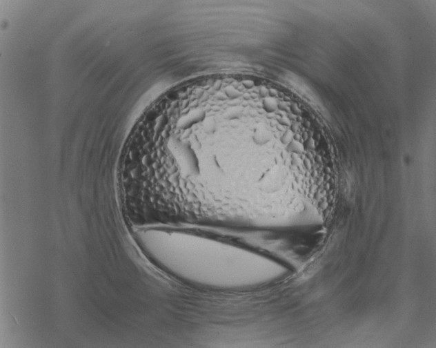 X0000077391283200611031952