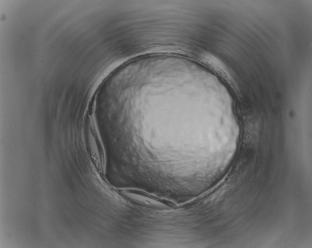 X0000077391284200611031952