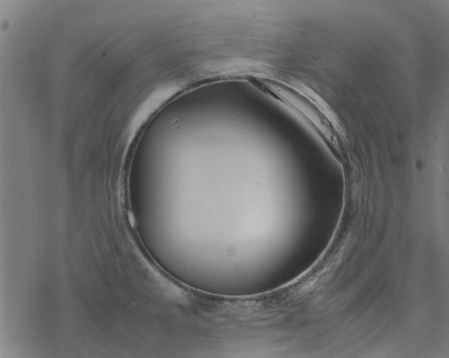 X0000077391285200611031952