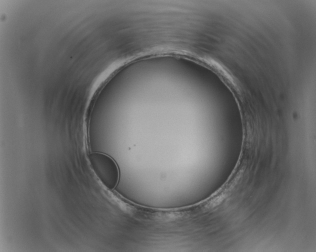 X0000077391286200611031952