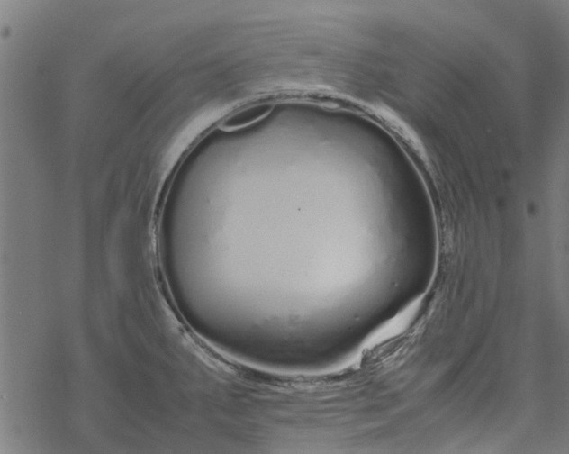 X0000077391287200611031952