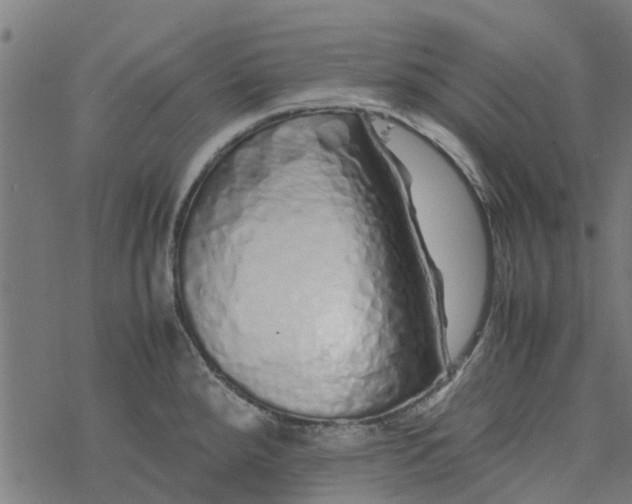 X0000077391288200611031952