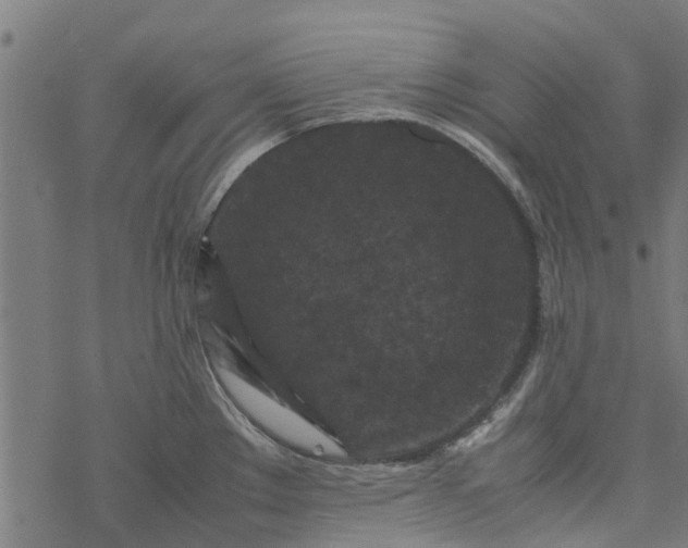 X0000077391289200611031952