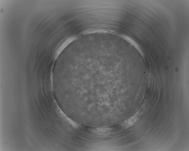 X0000077391290200611031952