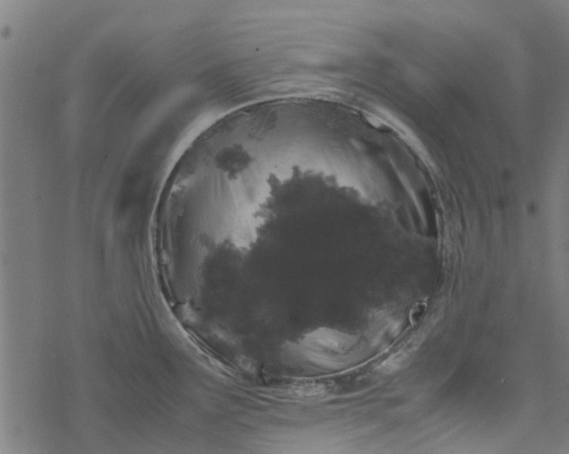 X0000077391291200611031952