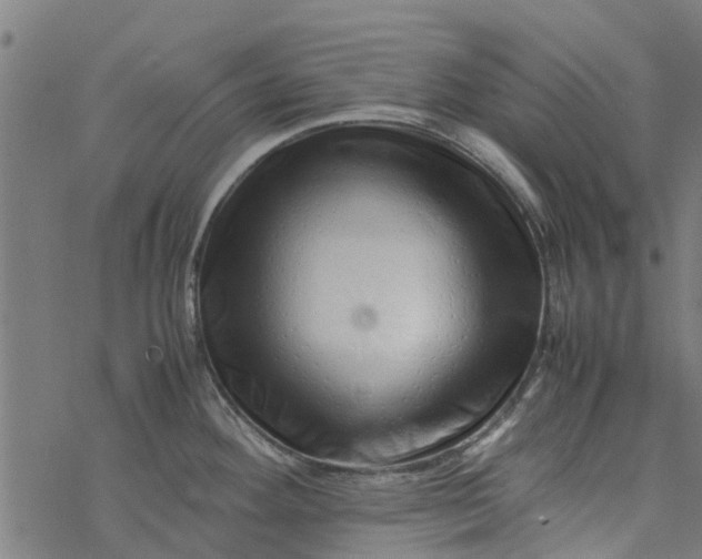 X0000077391292200611031952