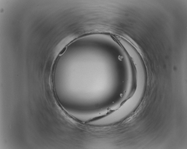 X0000077391293200611031952