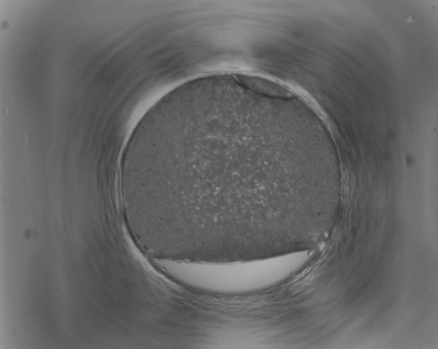 X0000077391295200611031952