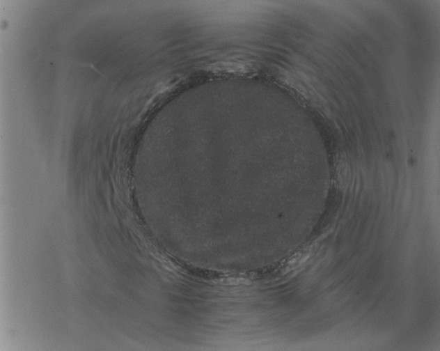 X0000077391297200611031951