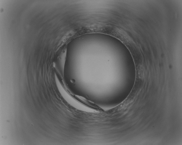 X0000077391298200611031951