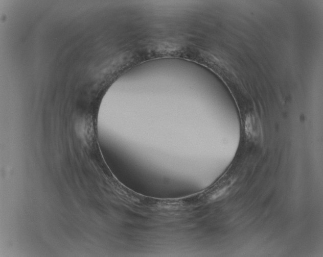 X0000077391299200611031951