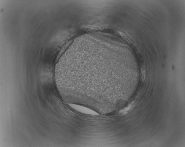 X0000077391300200611031951