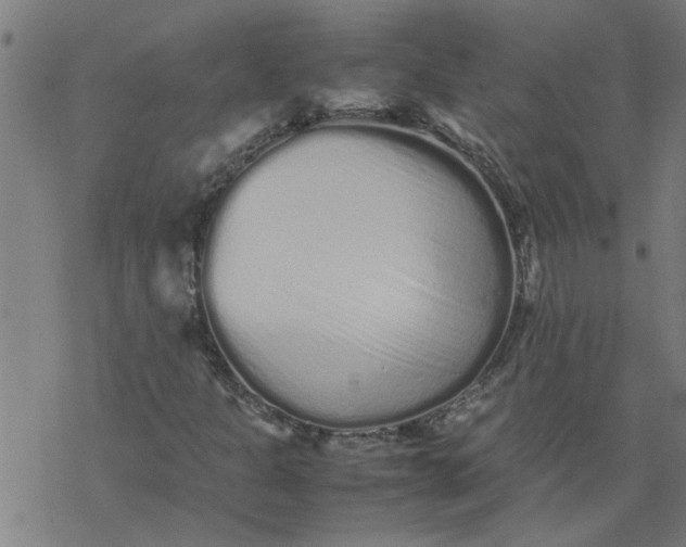 X0000077391301200611031951