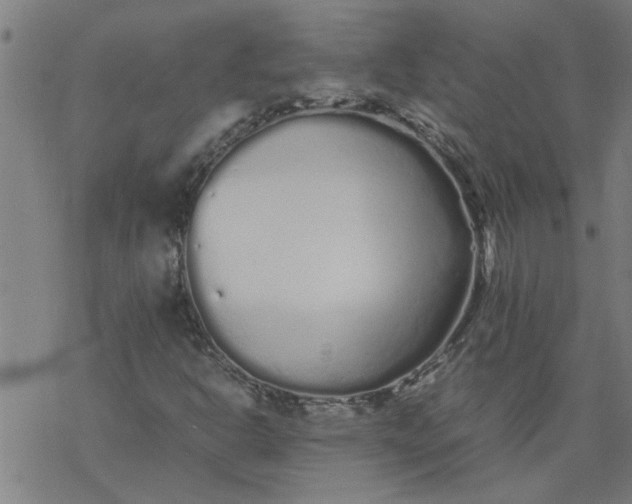 X0000077391302200611031951