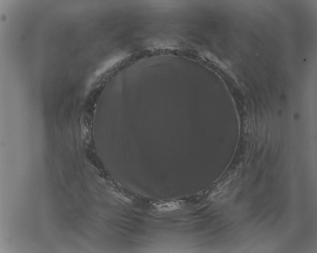 X0000077391303200611031951