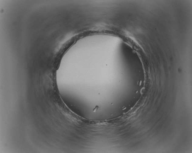 X0000077391304200611031951