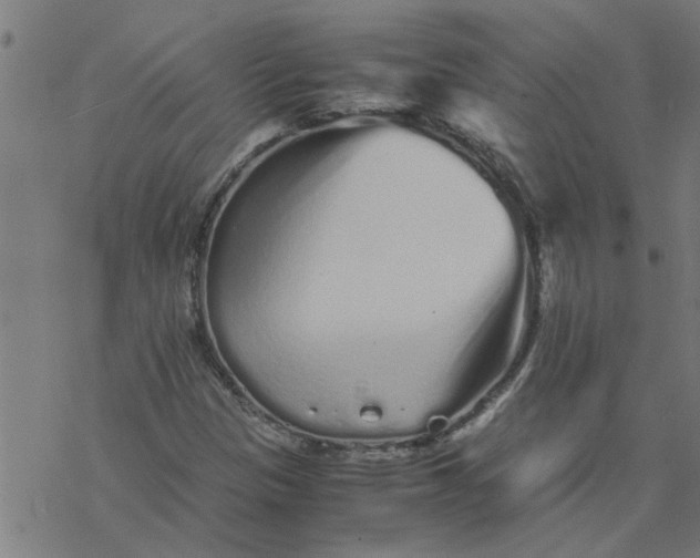 X0000077391305200611031951