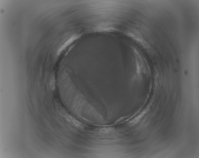 X0000077391306200611031951