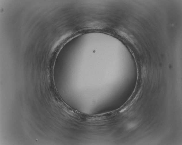 X0000077391307200611031951