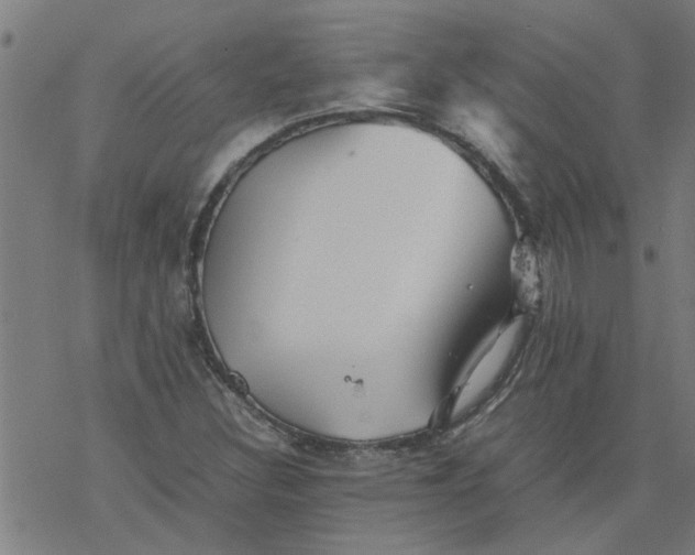 X0000077391308200611031951