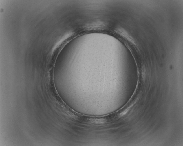 X0000077391309200611031951