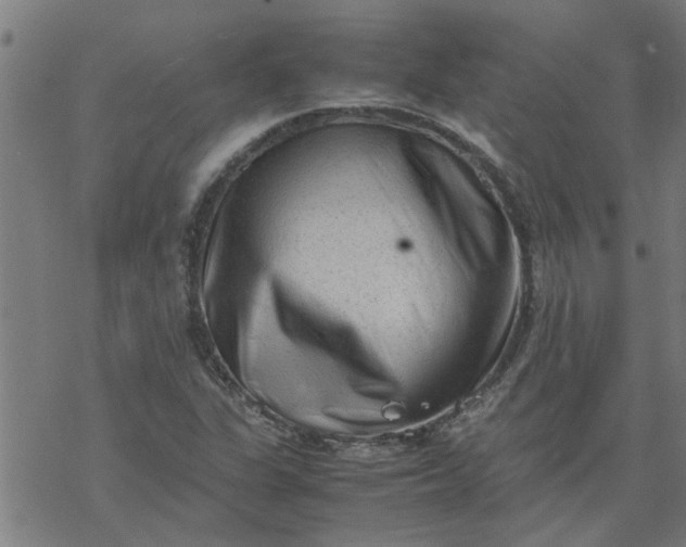 X0000077391311200611031951