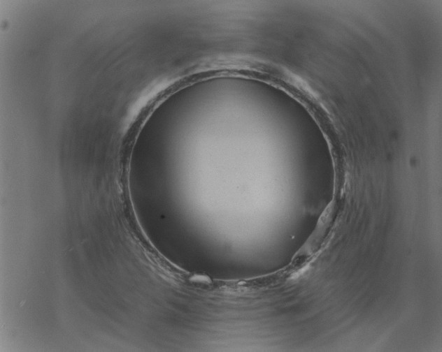 X0000077391312200611031951