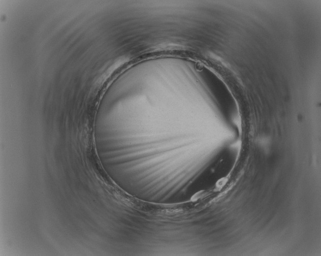 X0000077391313200611031951