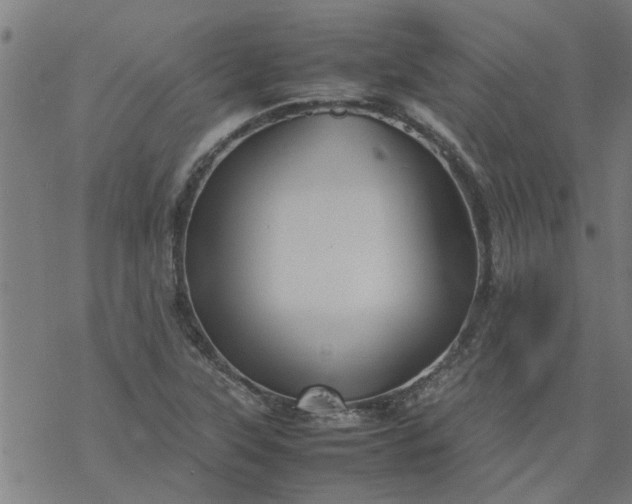 X0000077391315200611031951