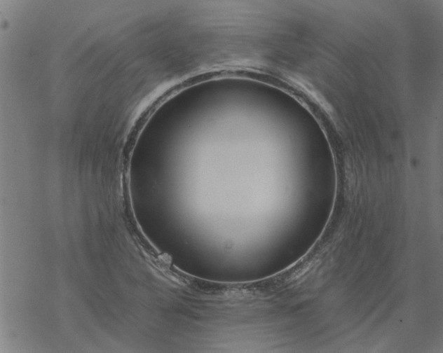 X0000077391316200611031951