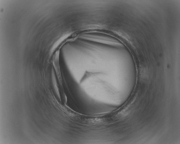 X0000077391317200611031951