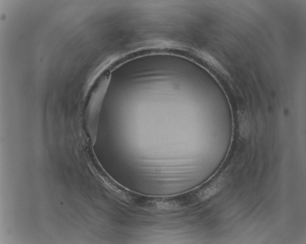 X0000077391318200611031951