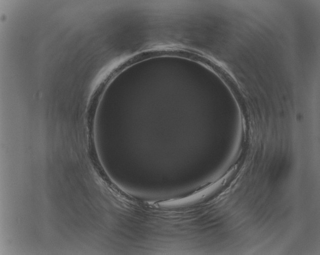 X0000077391319200611031951