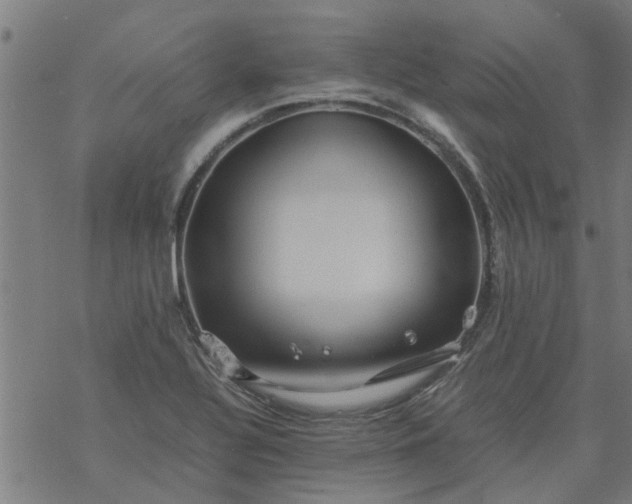 X0000077391320200611031951