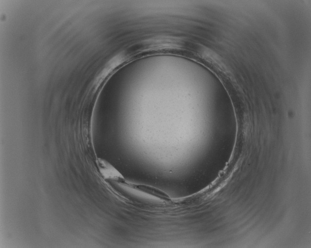 X0000077391321200611031951