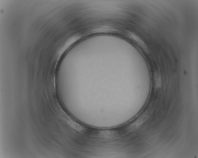 X0000077391322200611031952