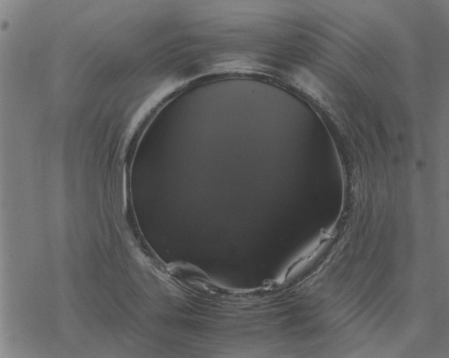 X0000077391323200611031952