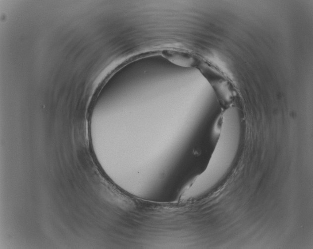 X0000077391324200611031952