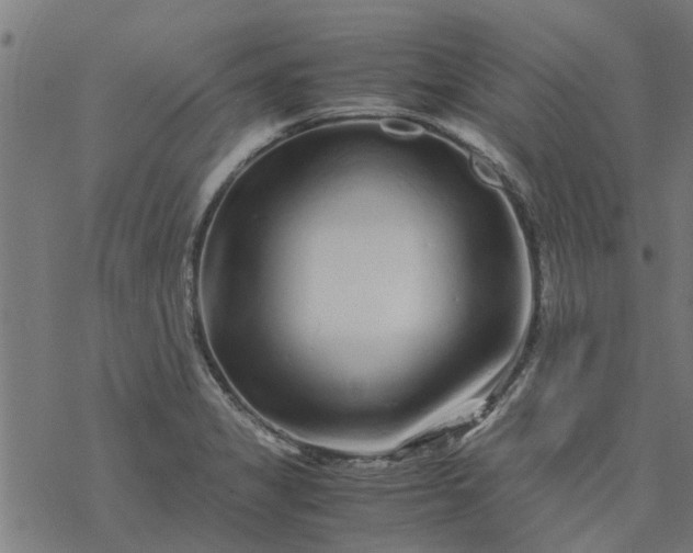 X0000077391325200611031952