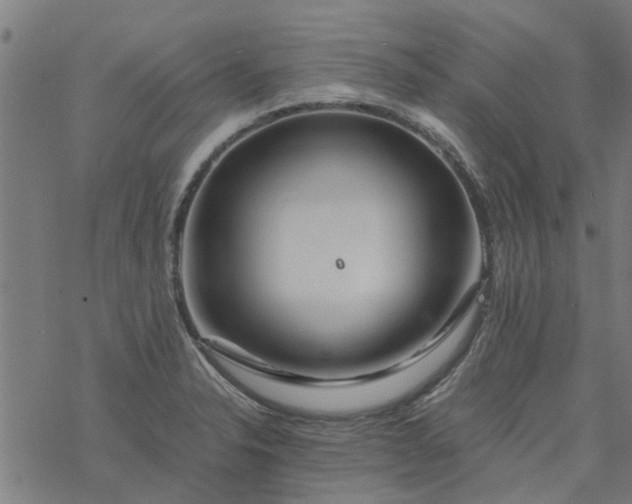 X0000077391326200611031952