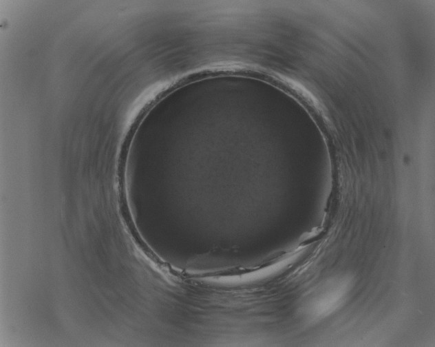 X0000077391327200611031952