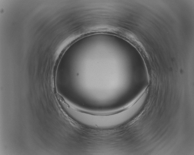 X0000077391328200611031952