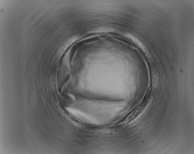 X0000077391329200611031952